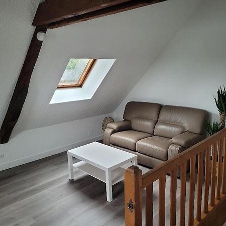 Appartement Avec Vue Sur Loire Blois Buitenkant foto