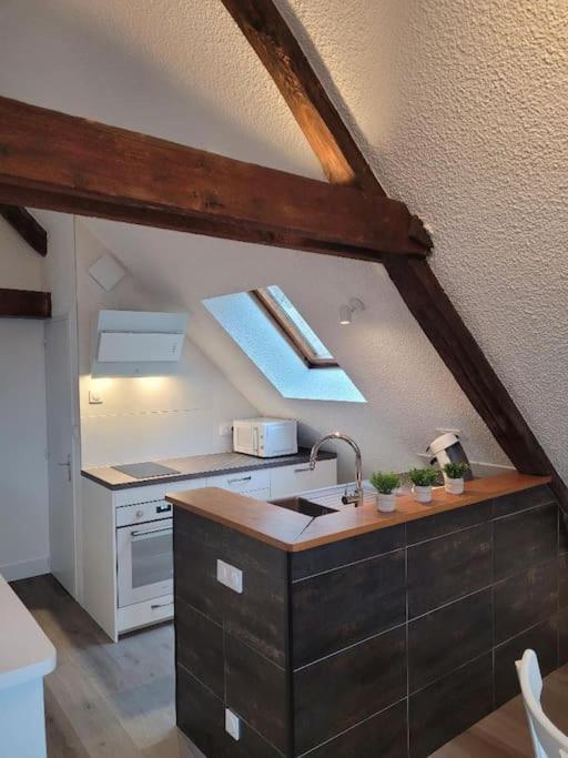 Appartement Avec Vue Sur Loire Blois Buitenkant foto