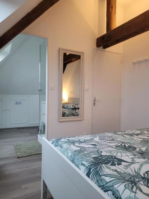 Appartement Avec Vue Sur Loire Blois Buitenkant foto